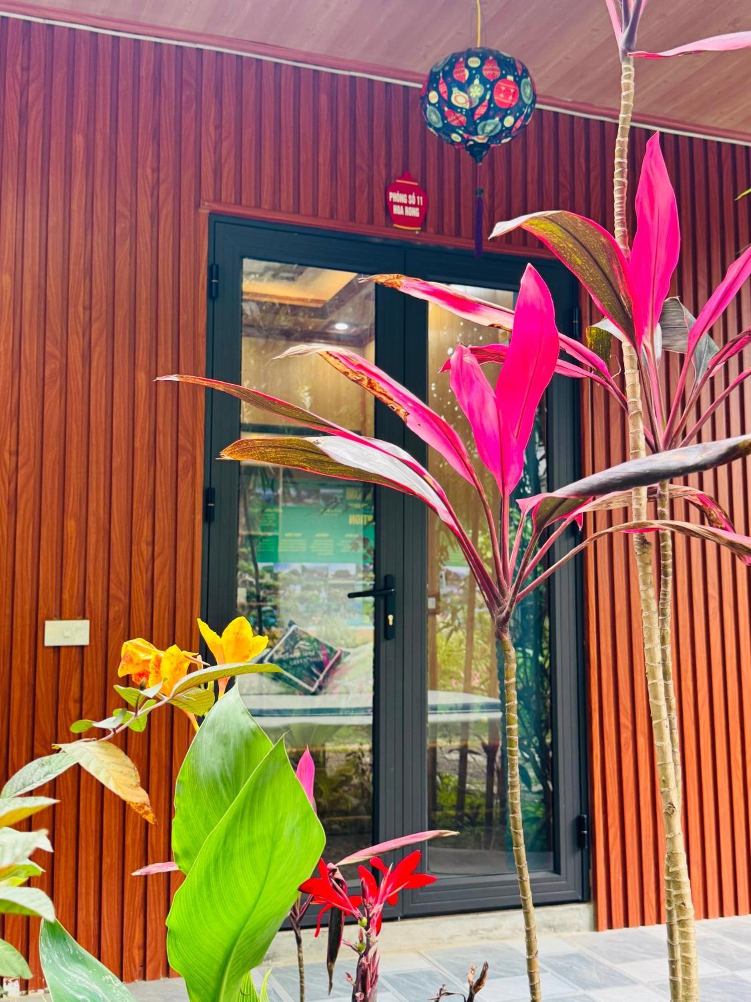 Green Valley Homestay - Thung Lung Xanh Nguyen Ngoai Exterior photo