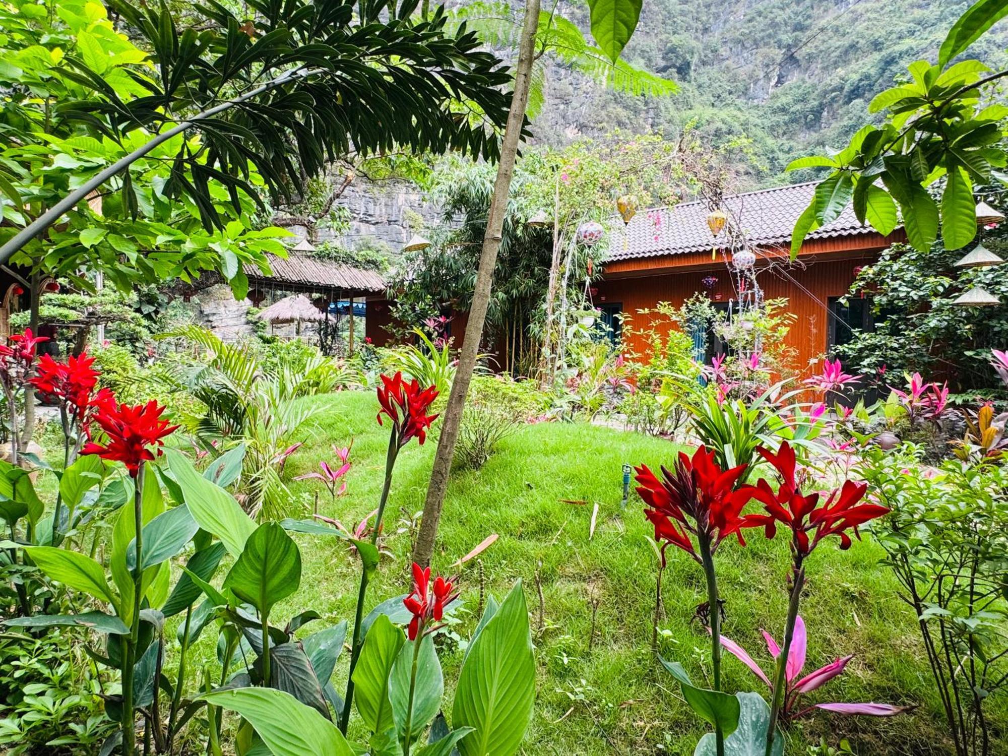 Green Valley Homestay - Thung Lung Xanh Nguyen Ngoai Exterior photo